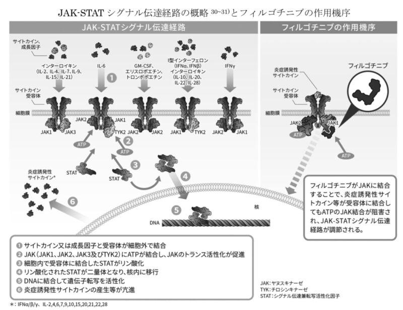 リスクと副作用