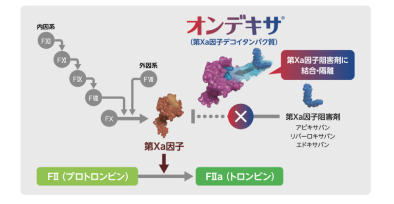 デキサノムのリーフレット